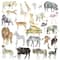 Safari Die Cut Stickers by Recollections™